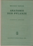 Anatomie der Pflanze, 1961