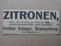 Zitronen, Gottlieb Schaper Braunschweig, 1919