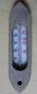 Preview: Badethermometer, Thermometer, um 1930