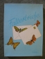 Preview: Briefpapier Falterbriefe, Schmetterlinge, DDR