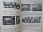 Preview: Die amerikanische Fleischindustrie, 1929