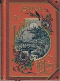 Buch der Lieder, Heinrich Heine, um 1900