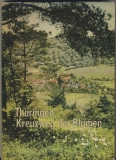 Thüringen, Kreuzweg der Blumen, 1954