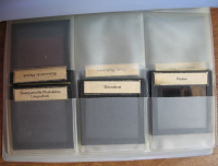 Preview: Dias DDR Schulunterricht, Biologie, 70-er Jahre