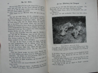 Preview: Im Morgenlicht, Hans Paasche, 1925