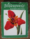 Blütenpracht aus Nah und Fern, Quartett, Lehrquartett DDR 1974