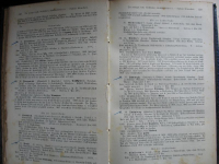 Handbuch der Kirchen-Statistik für das Königreich Sachsen, 1917