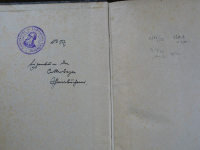 Das Evangelium des Matthäus, 1922, k1