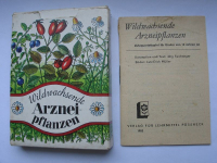 Wildwachsende Arzneipflanzen, Quartett DDR 1983, #138