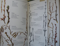 Bäume und Sträucher des Waldes, 1956, Gottfried Amann