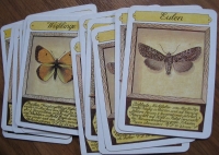 Preview: Einheimische Schmetterlinge, Quartettspiel, DDR um 1980, #159