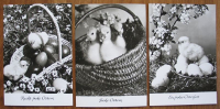 Frohe Ostern, 3 Postkarten, DDR um 1980, #344