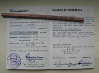 Preview: Lehr-Zeugnis Land Sachsen, DDR 1950, Former Plamag Plauen