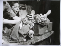 Der Regenbogentee, Susanne Peschel, Sabine Zinnecker, Gera, 1988, #t1