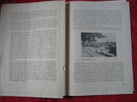 700- Jahrfeier in Ponitz, 1954