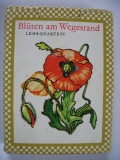 Blüten am Wegesrand, Quartett DDR 1979/ 1983, #41