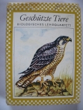 Geschützte Tiere, Quartett DDR 1976, #74