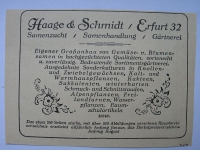Haage & Schmidt Erfurt, Samenhandlung, Gärtnerei, #1927/1
