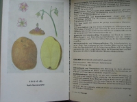 Preview: DSG Saatgut, Katalog für landwirtschatliches Saat- und Pflanzgut, DDR 1971/ 72