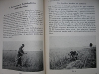 Preview: Die Fließmethode in der Getreideernte, MTS Klettstedt, LPG, DDR 1955