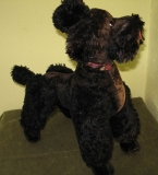 Preview: Pudel aus DDR- Zeiten, 60-er Jahre, #1