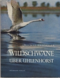 Wildschwäne über Uhlenhorst, DDR 1966, Höckerschwan, Adler