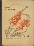 Zierpflanzen, DDR 1954