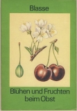 Blühen und Fruchten beim Obst, DDR 1986