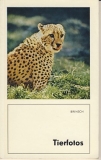 Tierfotos, DDR 1984