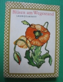 Preview: Blüten am Wegesrand, Quartett DDR 1979/ 1983, #41
