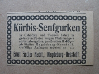 Kürbis- Senfgurken, Ernst Fischer Magdeburg, 1919