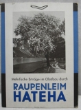 Altes Reklameschild "HATEHA Raupenleim", Pässlerdruck Dresden