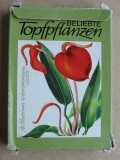Beliebte Topfpflanzen, Quartett DDR 1990, #77