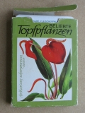 Topfpflanzen, Quartett DDR 1983, #78