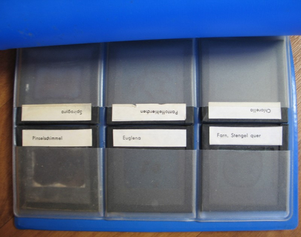 Dias DDR Schulunterricht, Biologie, 70-er Jahre