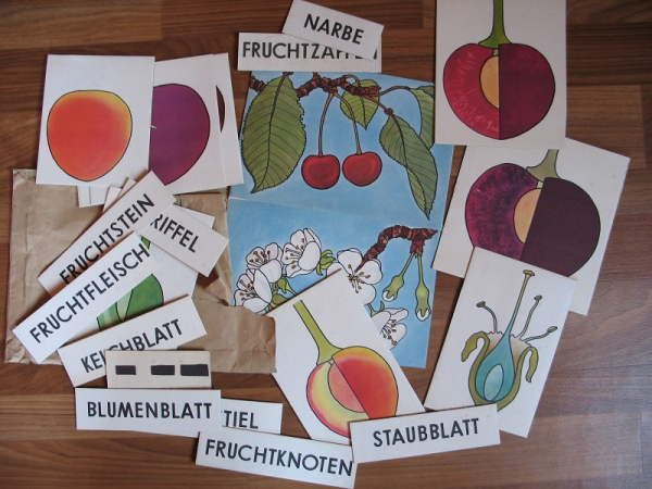Biologie, Heimatkunde, Schulmaterial DDR