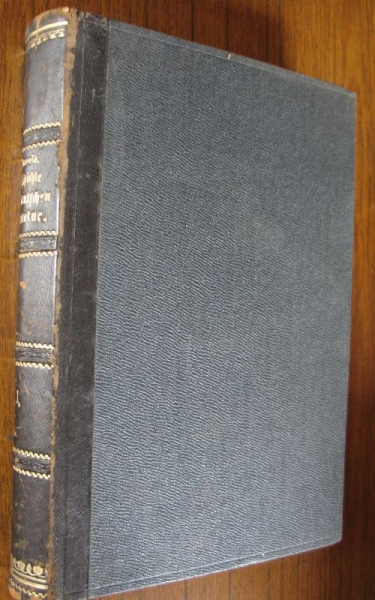 Geschichte der deutschen Literatur, 1884