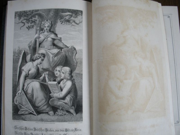 Geschichte der deutschen Literatur, 1884