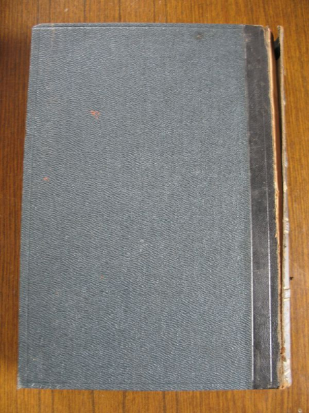 Geschichte der deutschen Literatur, 1884