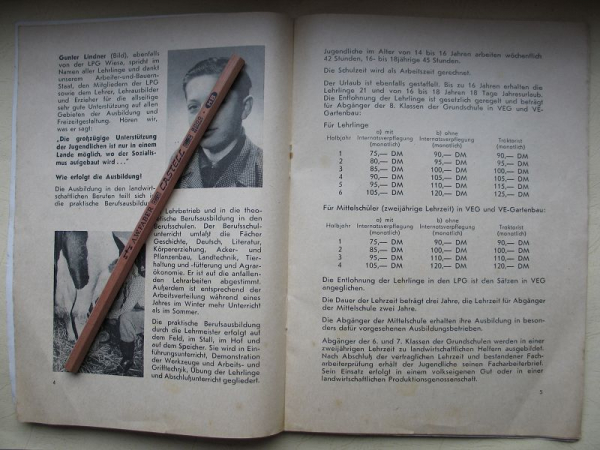 Warum werde ich Landwirt, DDR 1959, LPG Wiesa, Hainichen