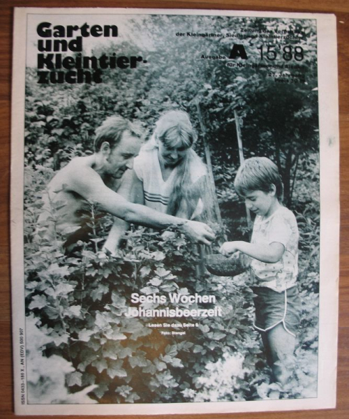 15/ 1988, Kleingärten Forst (Rosemarie und Detlef Wortmann, Marlies Machmüller, Steffi und Bernd Besser)