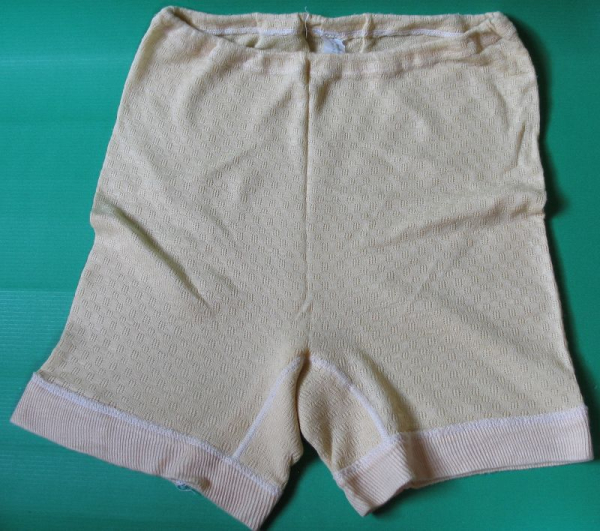 Damen- Schlüpfer, VEB Trikotagen Auerbach, DDR 60-er Jahre, ungetragen, #sch2