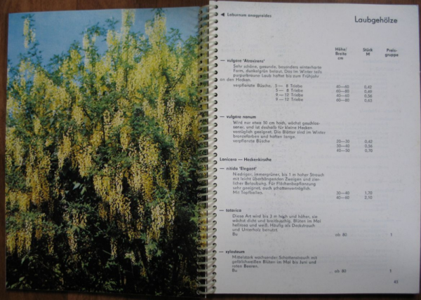 Katalog GPG Karl-Marx-Stadt, DDR 1982, Baumschule, Rosen, Gehölze, Obstbäume