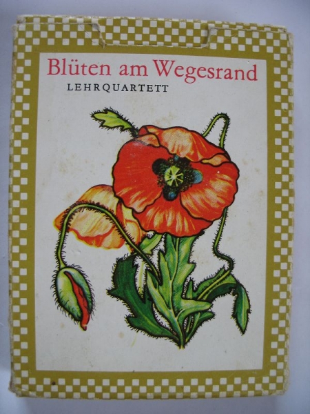 Blüten am Wegesrand, Quartett DDR 1979/ 1983, #41