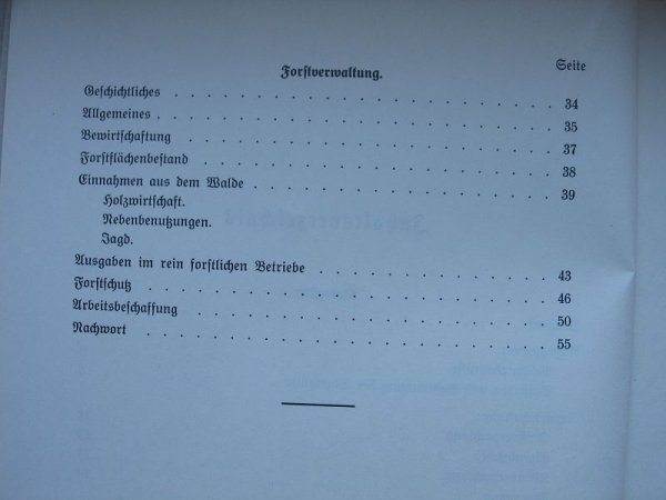 Verwaltungsbericht der Stadtgüterverwaltung und Forstverwaltung Berlin, 1936