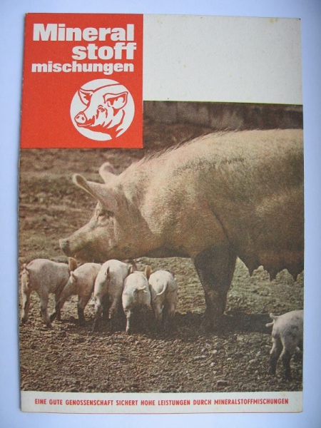 Prospekt Mineralstoffmischungen, Schweine, DDR 1969