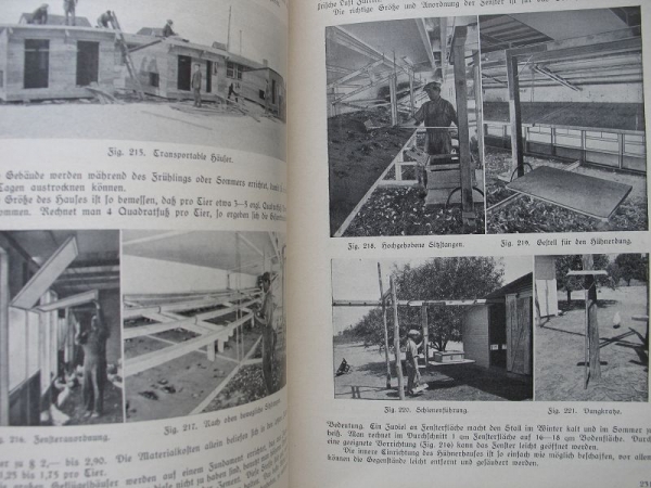 Die amerikanische Fleischindustrie, 1929