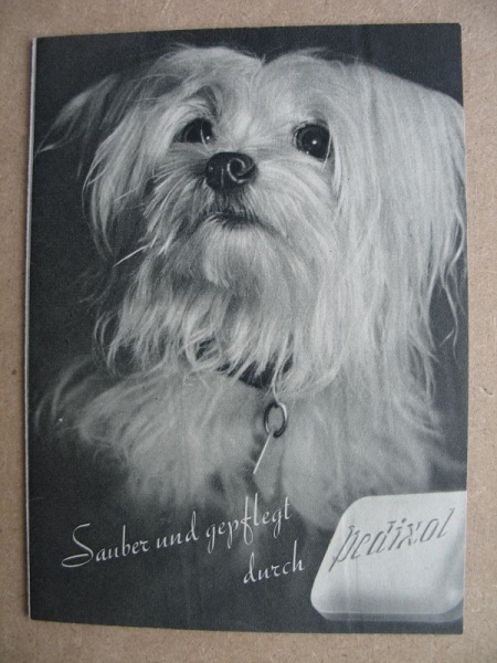 Prospekt PEDIX, PEDIXOL, VVB Sapotex, Fettchemie Chemnitz, 1950