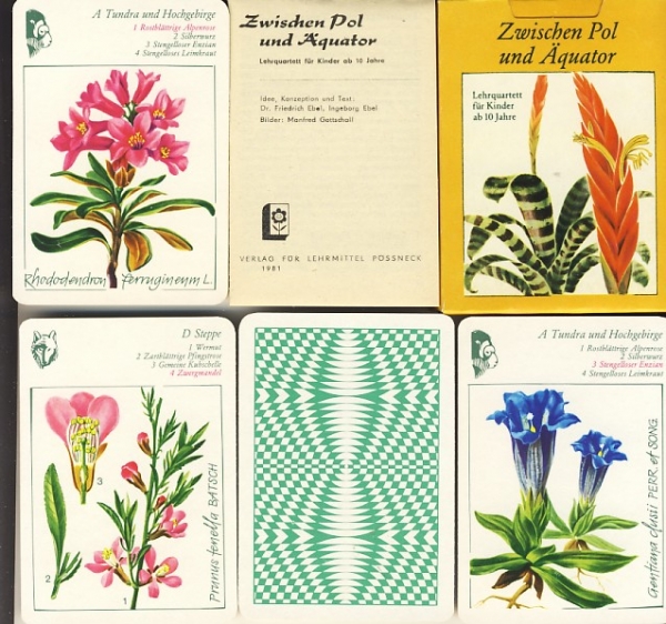 Zwischen Pol und Äquator, Lehrquartett für Kinder ab 10 Jahre, #91