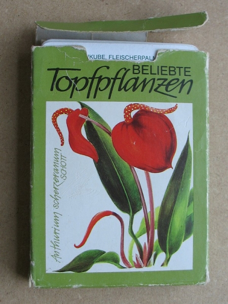 Topfpflanzen, Quartett DDR 1983, #78
